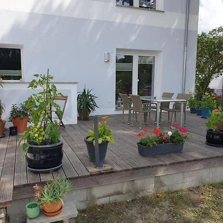 Zur Flatter-ulme